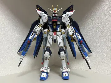 RG 1/144 스트라이크 프리덤 건담
