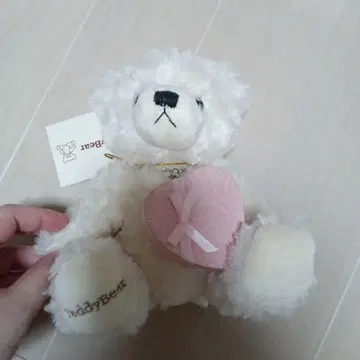 TeddyBear 테디베어와 목걸이 세트