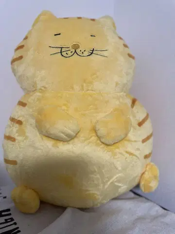 옐로우 컬러의 고양이 봉제 인형