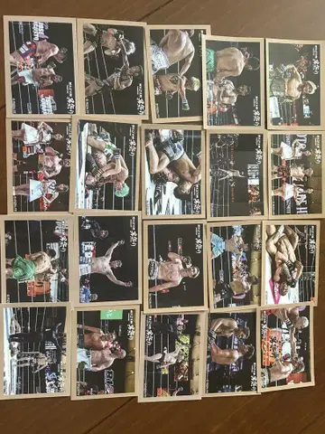 복권 플라 RIZIN 남자 축제 D상 공식 사진 스티커 전종 세트 20장