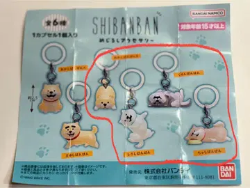 SHIBANBAN 메지루시 액세서리 4종 세트