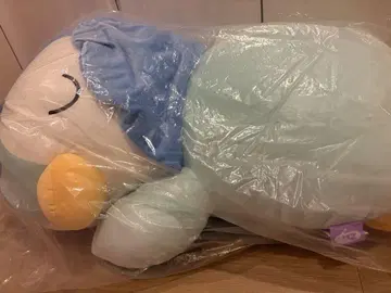 포켓몬 스야스야 프렌드 집에서 릴랙스 팽도리
