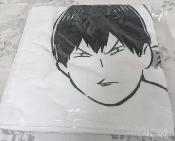 카게야마 토비우오 잡기, 물고기 도장 타월