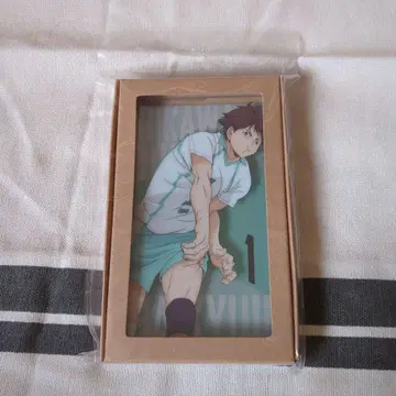 하이큐!! 오이카와 토오루 노블 아트