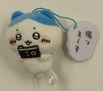 후류 대사 포함 마스코트 4 치이카와 (먼작귀) 하치와레 (촬영합니다)