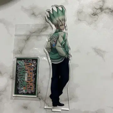Dr.STONE 닥터 스톤 이시가미 치쿠