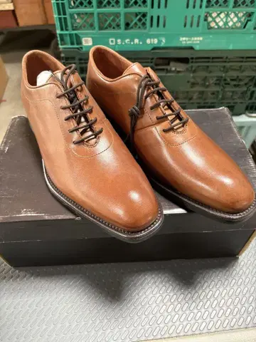잔카를로 모렐리 비즈니스 슈즈 25.5cm 박스 포함