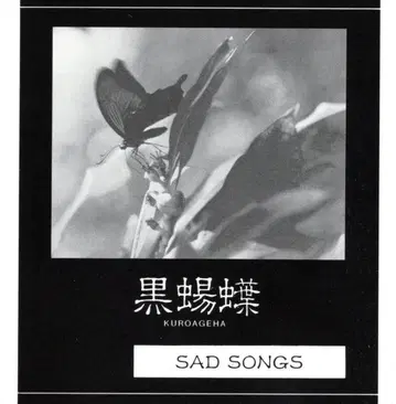 검은 나방 sad songs 검은 나비