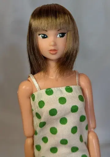 반려동물 웍스 CCS-모모코 Today's momoko 01AT