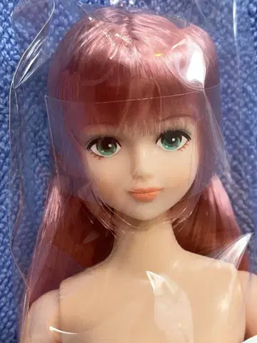즐거운 인형 시온