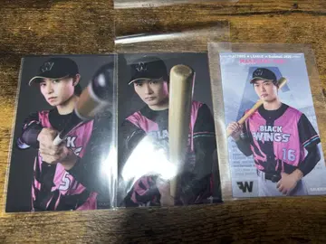 ACTORS LEAGUE BASEBALL 복권 액터스 리그 아베 아라시