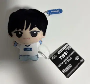 도훈 TWS From PLEDIS ENTERTAINMENT SD 인형