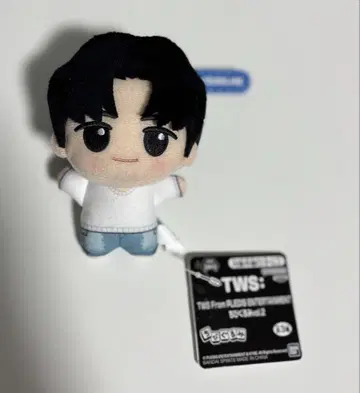 TWS 용재 YOUNGJAE SD 인형
