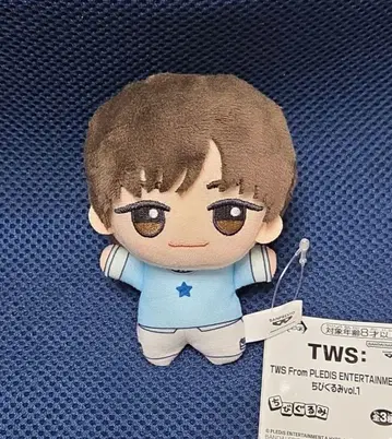 TWS From PLEDIS ENTERTAINMENT SD 인형 지훈
