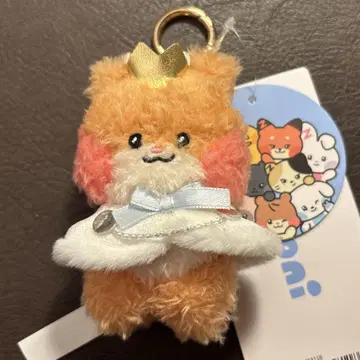 프린스 zeroni 봉제 인형 키링 zb1 한빈 binini