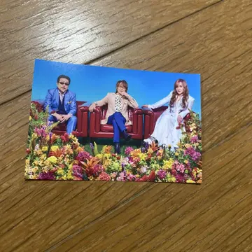 THE ALFEE 트레이딩 카드