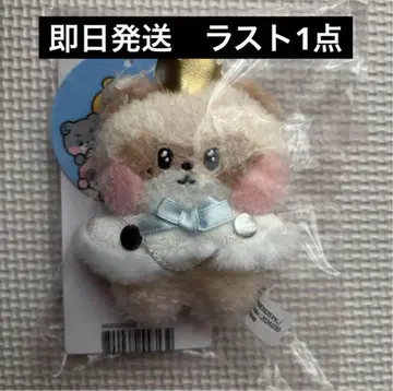 프린스 zeroni 봉제 인형 키링 zb1 장하오 hanini