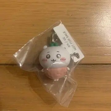 치이카와 쿠라스시 콜라보 치이카와 피규어