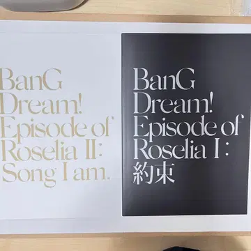 Episode of Roselia 팜플렛