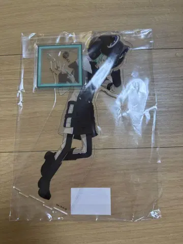 가정교사 히트맨 리본 특대형 아크릴 스탠드 프랑 수련 풍경