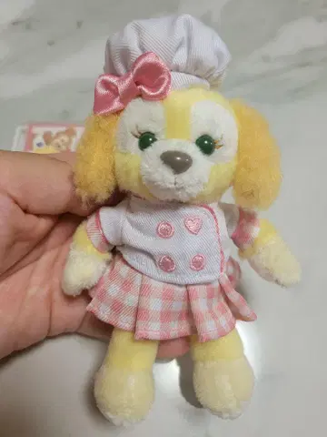 쿠키 앤 봉제 인형 배지