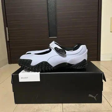 Puma mostro 모스트로