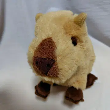 카피바라 봉제 인형 크리에이티브 요코 요코하마 팔경도 파라다이스