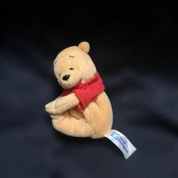 디즈니랜드 곰돌이 푸 마스코트 레어