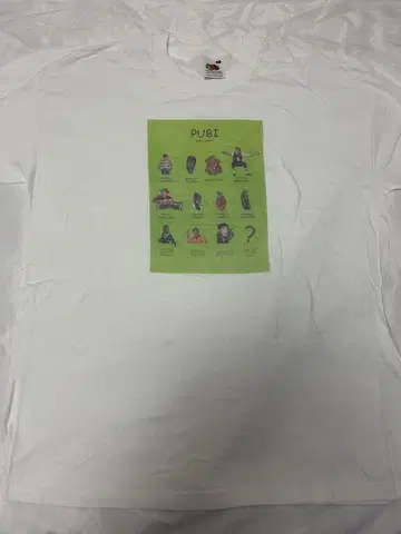 프룻 오브 더 룸 티셔츠 2000년대