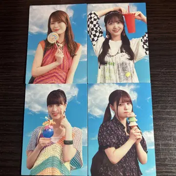 NOGI CAFE 2025 트레이딩 카드 4종 세트