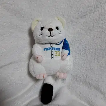 닛폰 햄 파이터즈 오코조 유야