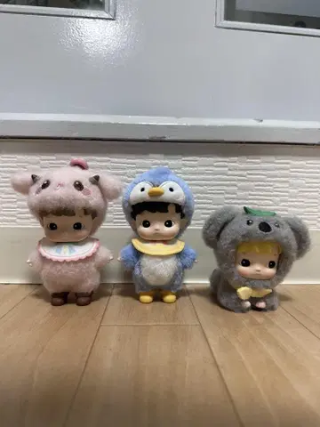 HACIPUPU 3개 세트