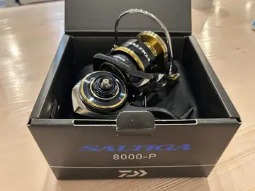 다이와 솔티가 8000P