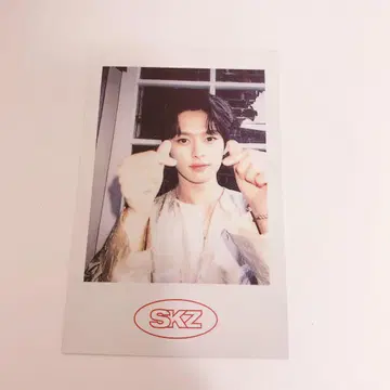 straykids 스키즈 리노 2021 시그리 폴라로이드 폴라로이드
