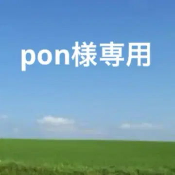 컨디션 최상 IL BISONTE 일비종떼 가죽 장지갑 롱 지갑
