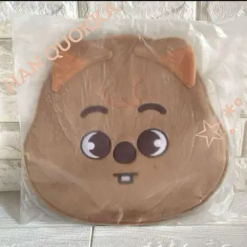 스키즈 straykids 부채 케이스 [한 쿠오카] HAN QUOKKA