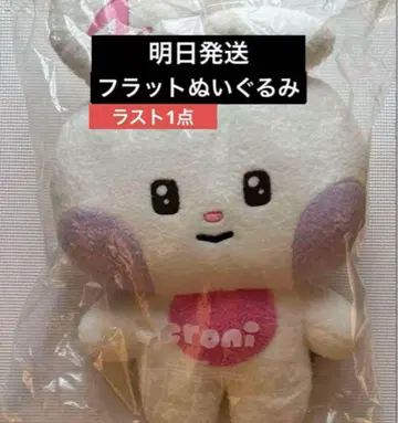 zeroni 플랫 봉제 인형 유진 zb1 yunini 유니니 봉제 인형