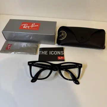 Ray-Ban Wayfarer 조광 렌즈