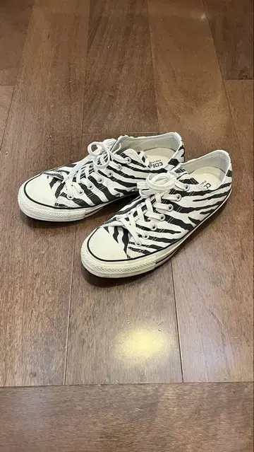CONVERSE 척 테일러 제브라 패턴 스니커즈