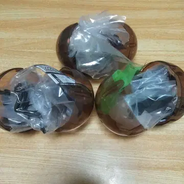 생물대도감