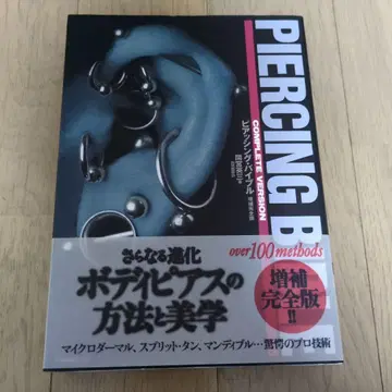 피어싱 바이블