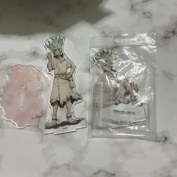 Dr.STONE 닥터 스톤 이시가미 치쿠사 벚꽃