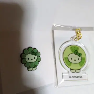 Algae 키티 엑스포 일본관 한정판 배지&키링