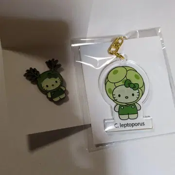 Algae 키티 엑스포 일본관 한정판 핀 배지 & 아크릴 키링 세트