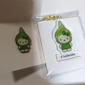 Algae 키티 엑스포 일본관 한정판 핀 배지 & 아크릴 키링 세트