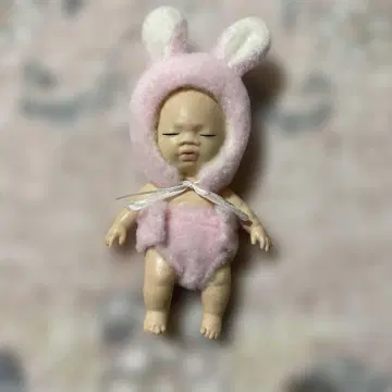 베이비 토끼 의류 포함