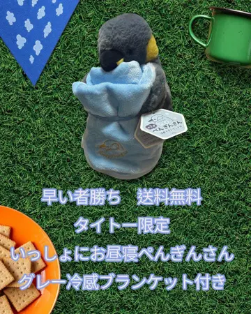 선착순으로 함께 낮잠을 펭귄 그레이 냉감 담요 포함