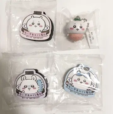 치이카와 쿠라스시 치이카와 피규어 마그넷 하치와레 모몽가