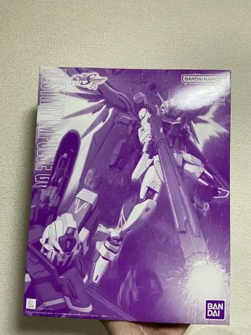 MG 1/100 데스티니 임펄스 건담 R