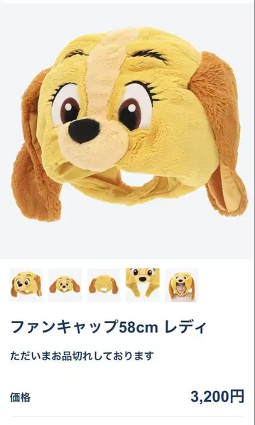 팬 캡 58cm 레이디